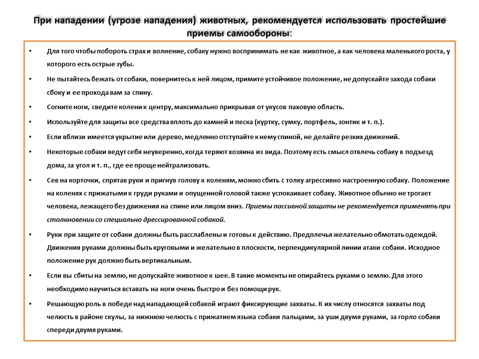 Действия при угрозе нападения коровы. Правила при нападении собаки.